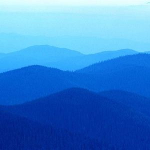 Meet your Posher, Cathy